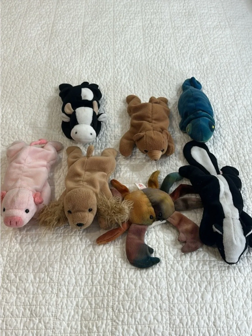 Ty Beanie Babies Plush Lot of 8